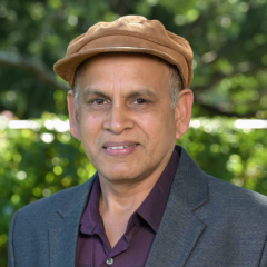 Professor Abdullah Mamun