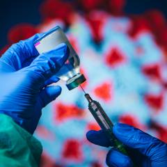 Gloved hand holing vaccine